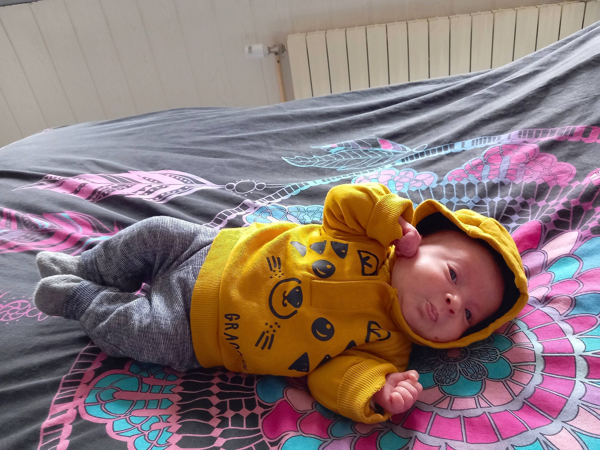 Anaïs participe au concours pour gagner de l'argent avec cette photo : baby, baby_products, baby_safety, baby_toddler_clothing, bed, bed_sheet, bedding, bedtime, child, comfort, flooring, grass, linens, magenta, nap, pattern, person, room, sitting, sleeve