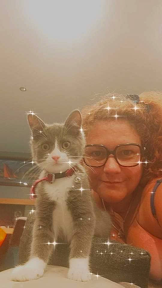 Tyrex a rejoint le concours — aidez-le/la à gagner de superbes lots ! carnivore, cat, domestic_short_haired_cat, ear, eyebrow, eyewear, felidae, fur, glass, glasses, happy, iris, nose, selfie, sitting, small_to_medium_sized_cats, smile, vertebrate, vision_care, whiskers