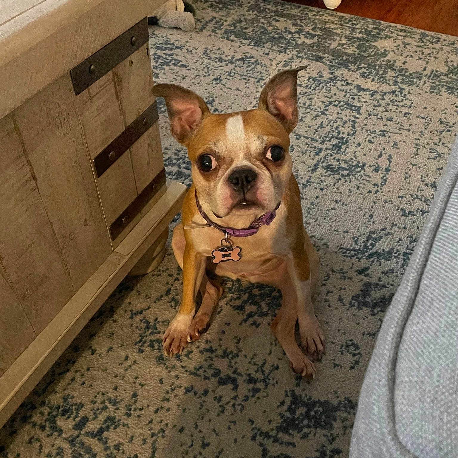 Violet