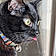 Jam The Cat