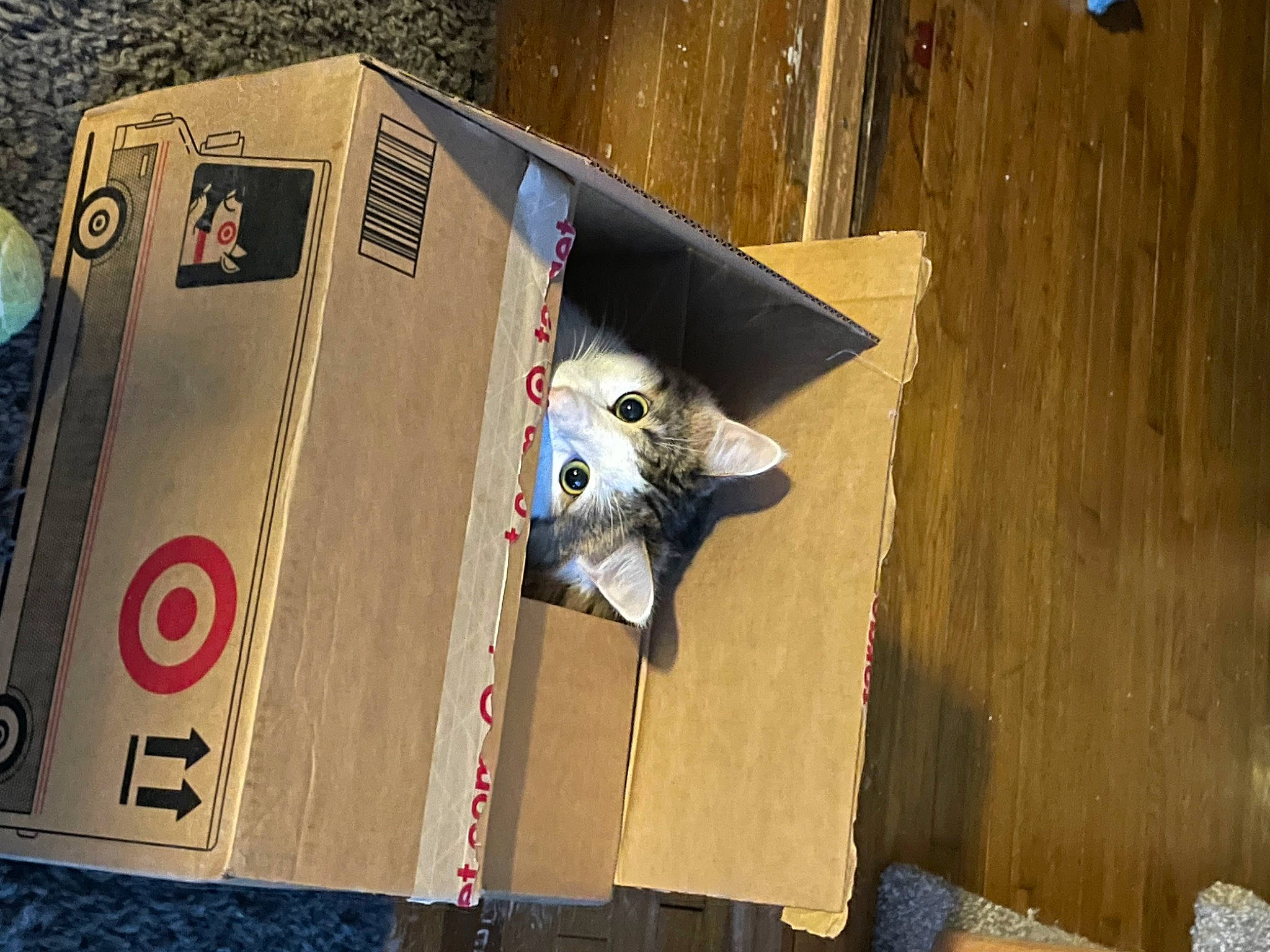 Dean is registered to the contest to win money with this photo: audio_equipment, cardboard, carmine, electrical_wiring, flooring, font, hardwood, logo, machine, plank, plywood, room, visual_arts, wood, wood_stain