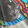 animal, cat, closeup, colorful_stripes, comfort, cozy, curious, fabric, feline, hiding, indoor, looking, mesh_fabric, multicolor, pattern, pet, resting, soft, striped, texture
