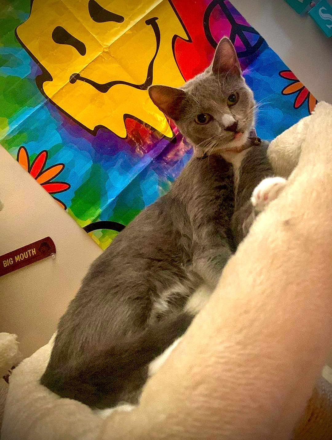 Luna
