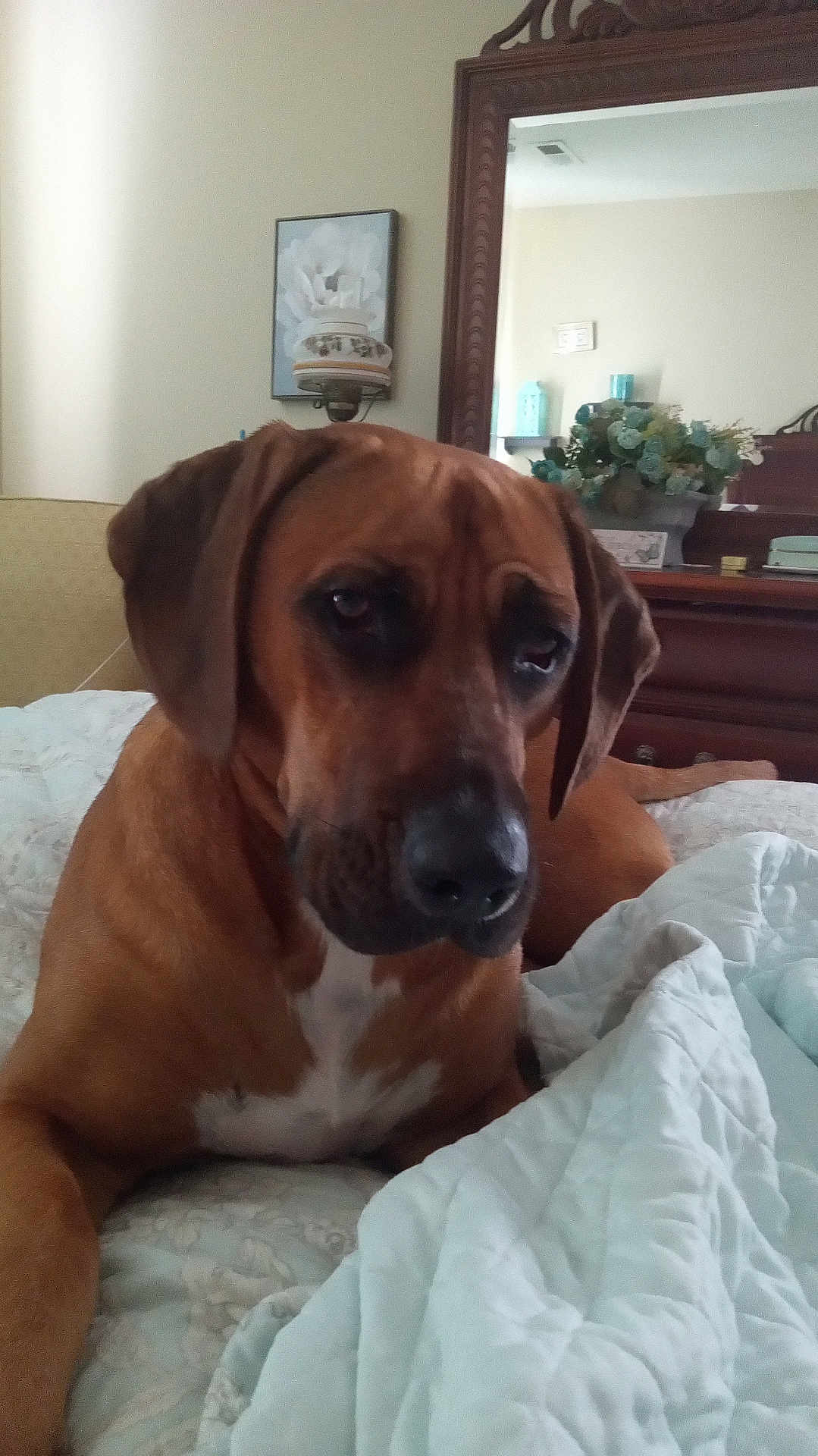 Charlie
