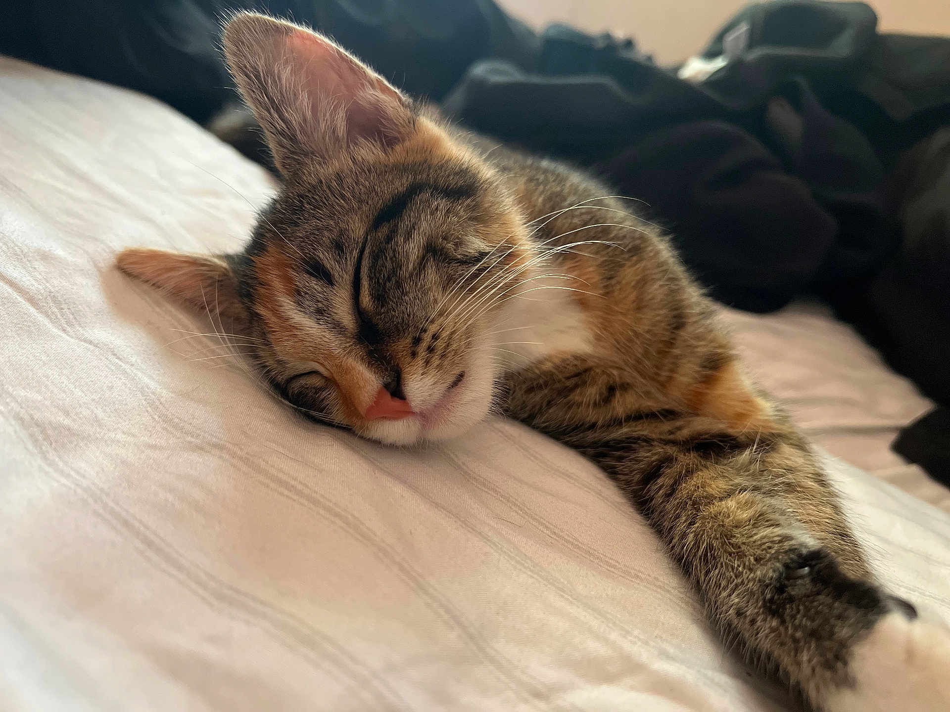 Athena