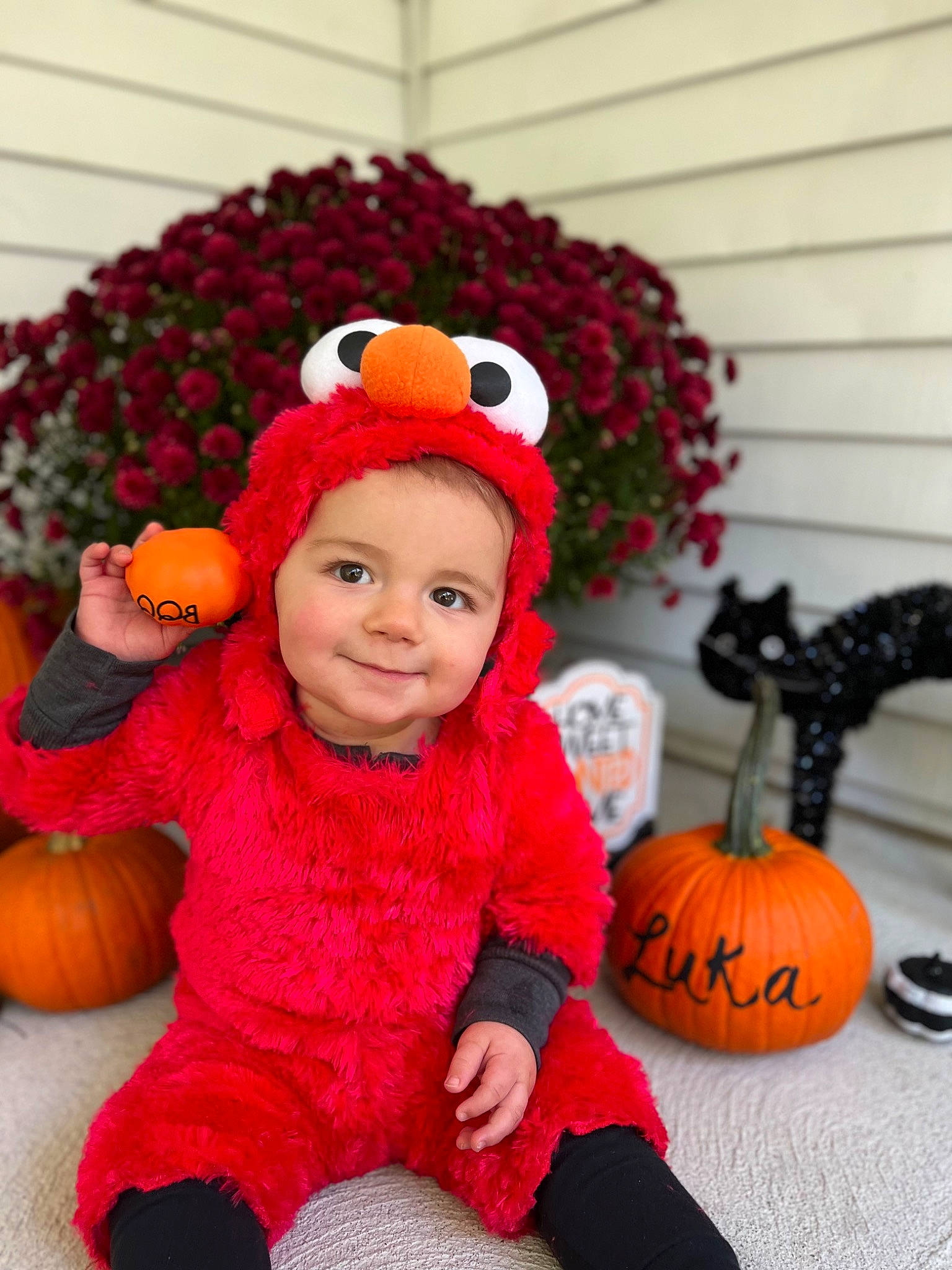 Luka is registered to the contest to win money with this photo: baby, baby_toddler_clothing, calabaza, cap, cucurbita, gourd, grass, happy, hat, headwear, joy, natural_foods, orange, organ, people, person, plant, pumpkin, smile, squash