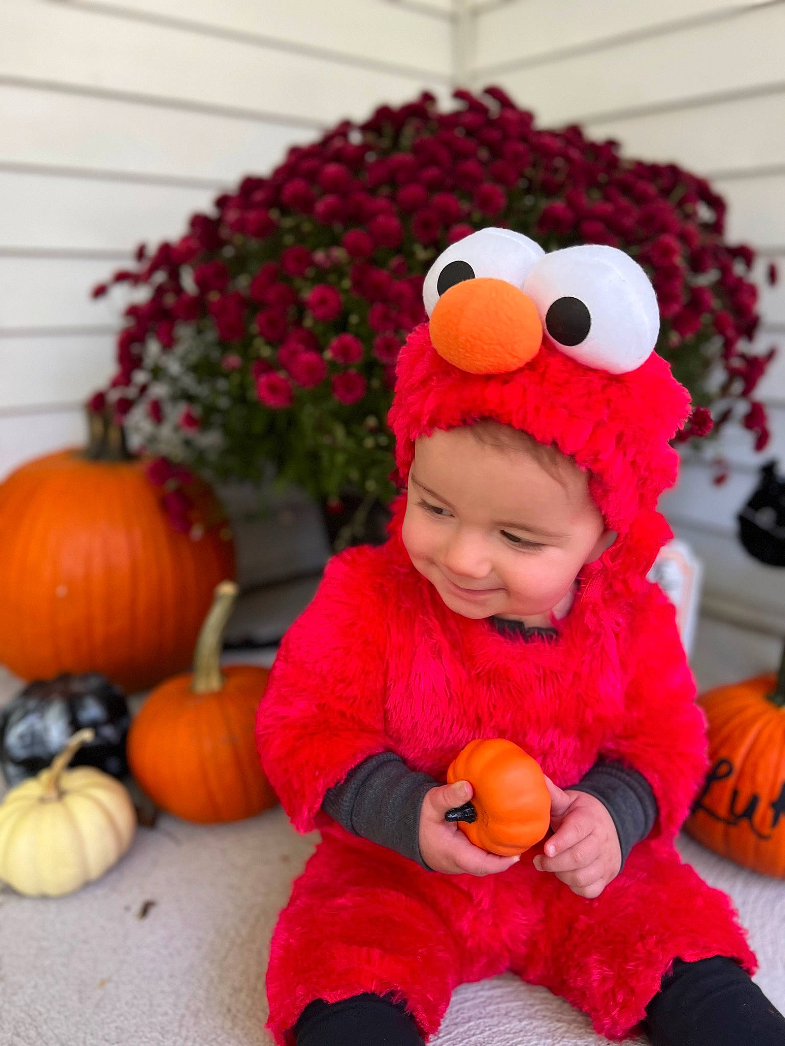 Luka joined the competition — help win amazing prizes! baby_toddler_clothing, calabaza, cucurbita, fun, gourd, grass, happy, headgear, headwear, joy, mammal, natural_foods, orange, people, person, plant, pumpkin, stuffed_toy, toddler, toy