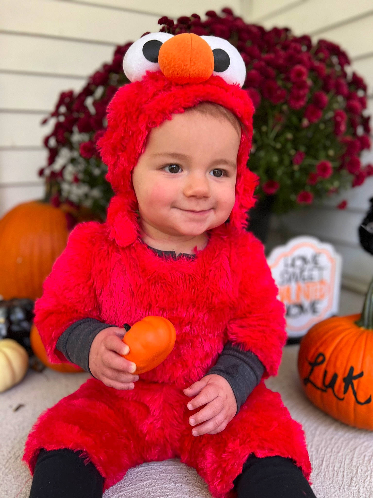 Luka is registered to the contest to win money with this photo: baby, baby_toddler_clothing, calabaza, child, costume_hat, cucurbita, fun, gourd, happy, hat, headgear, headwear, joy, mammal, orange, organ, person, plant, pumpkin, smile