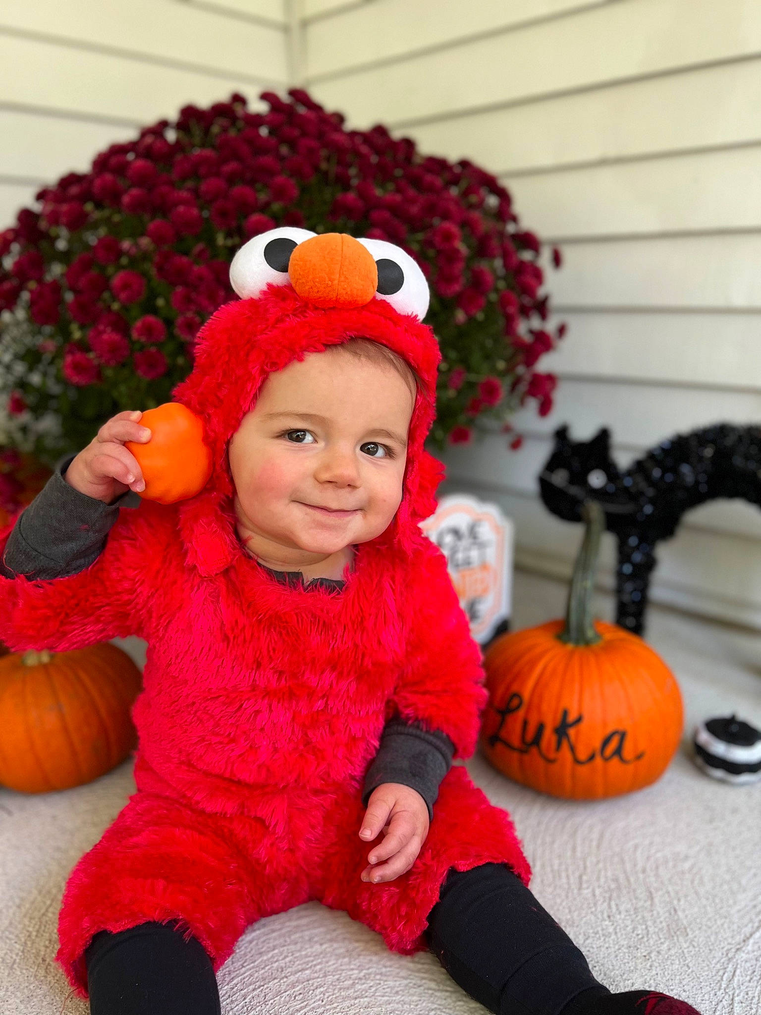 Luka is registered to the contest to win money with this photo: baby_toddler_clothing, calabaza, cap, child, cucurbita, face, flooring, gourd, happy, headgear, headwear, joy, natural_foods, orange, organ, person, plant, pumpkin, smile, squash