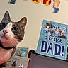 cat, celebration, closeup, cute, decorations, domestic_animal, fathers_day, feline, funny, greeting_card, holiday, indoor, looking_up, pet, pink_nose, red_tablecloth, table, text, wall, whiskers