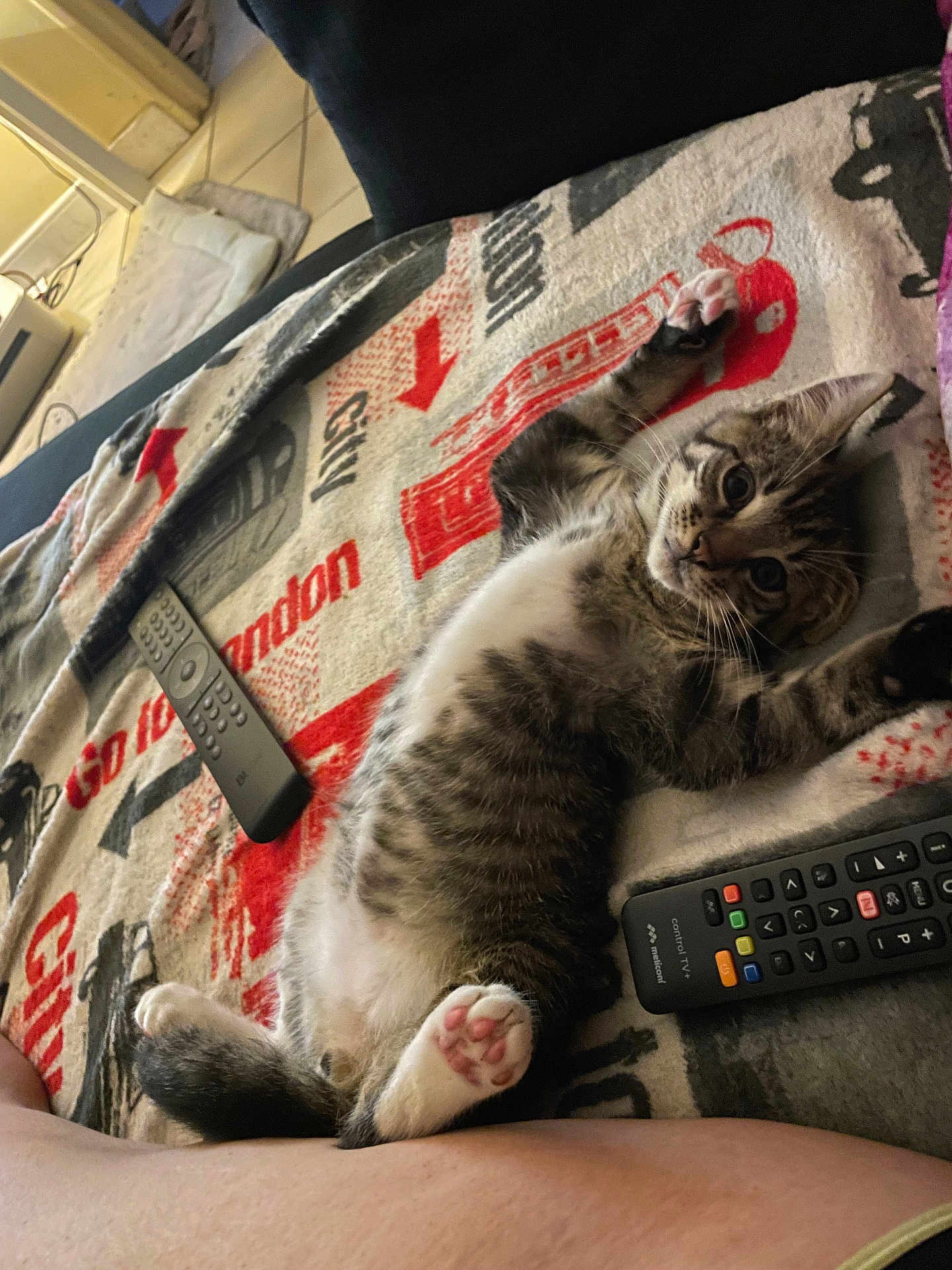 Misky a rejoint le concours — aidez-le/la à gagner de superbes lots ! kitten, cat, tabby, paw, blanket, remote_control, indoor, floor, tile, furniture, relaxed, cute, pet, animal, lying_down, striped, playful, cozy, home, resting