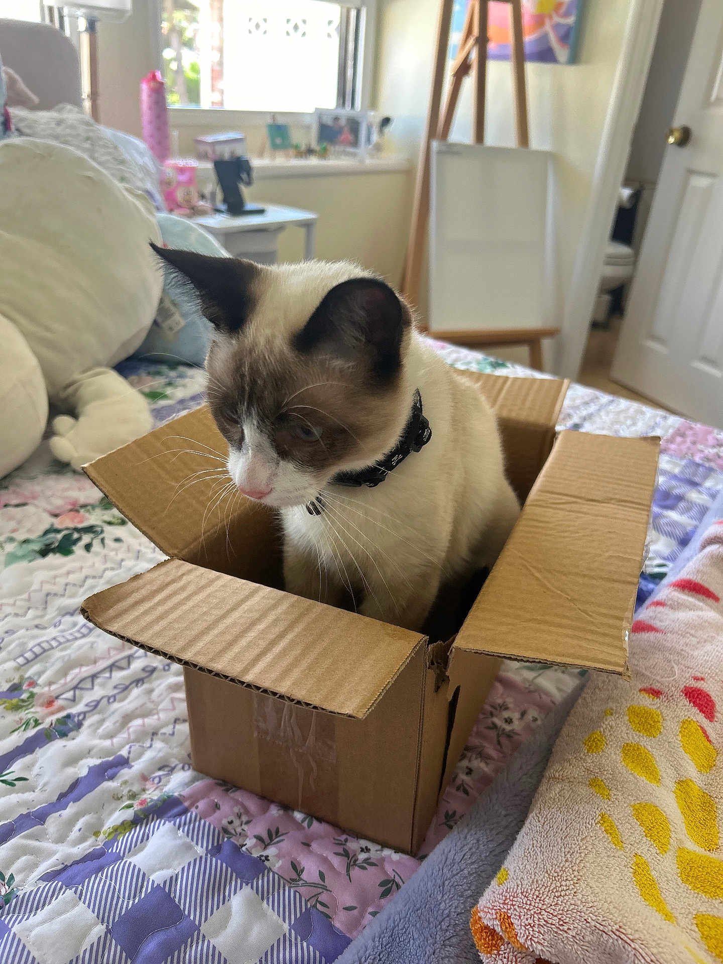 Max