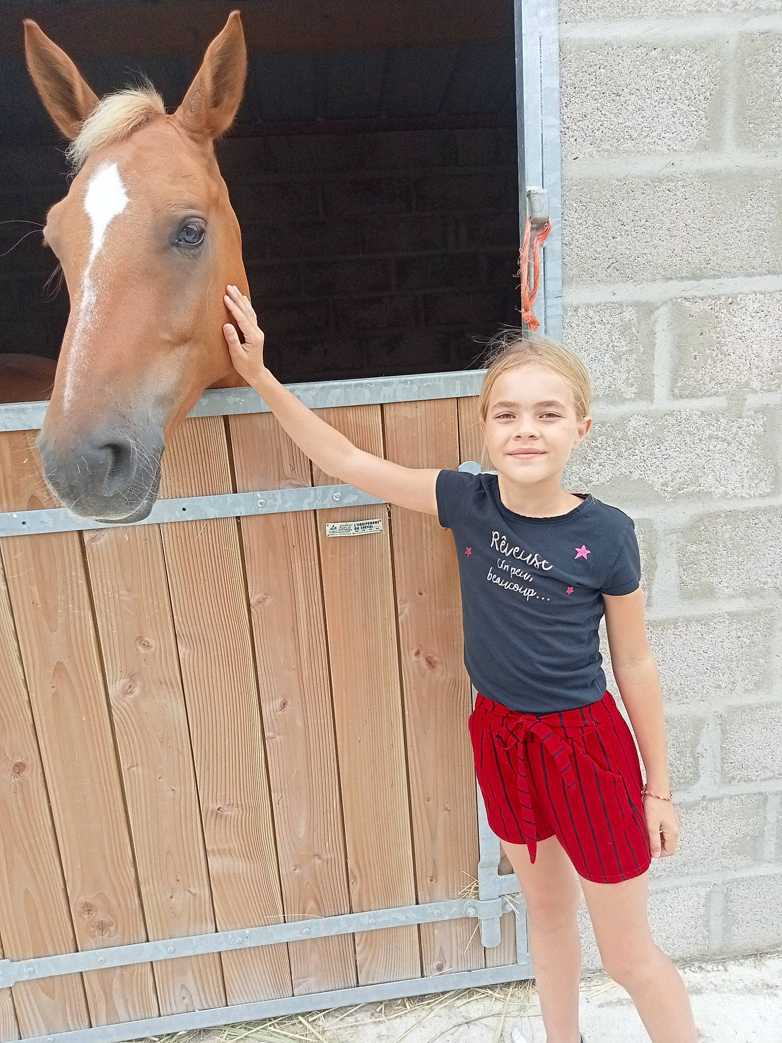 Célia a rejoint le concours — aidez-le/la à gagner de superbes lots ! arm, bridle, electric_blue, fence, hair, happy, horse, horse_supplies, horse_tack, joint, joy, neck, pack_animal, person, pink, recreation, sorrel, thigh, waist, white