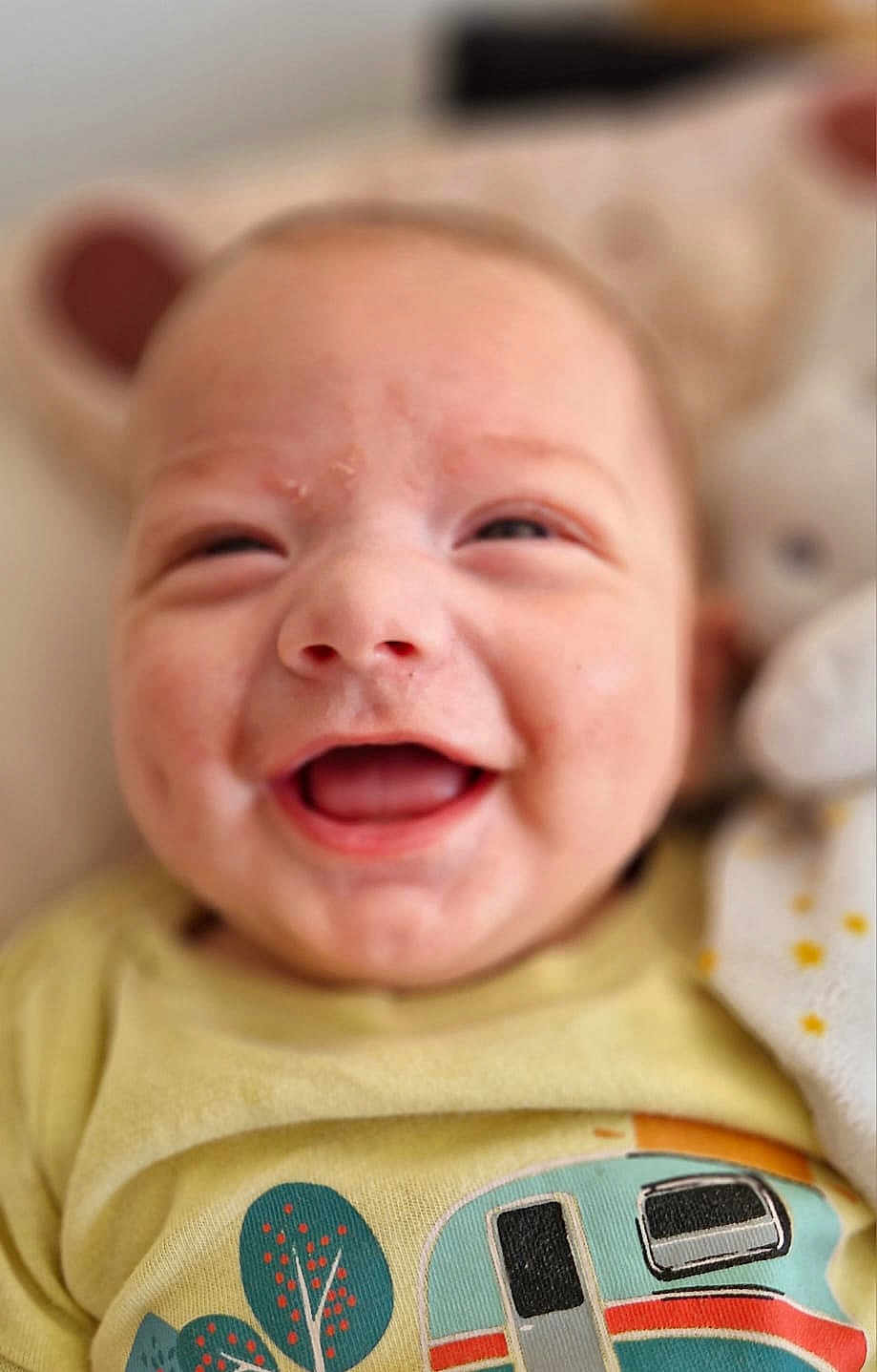 Harald participe au concours pour gagner de l'argent avec cette photo : baby, blanket, camper_van, child, close_up, clothing, cute, expression, face, happy, head, indoors, infant, portrait, skin, smiling, soft_toy, teddy_bear, trees, yellow_shirt