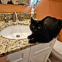 Shadow joined the competition — help win amazing prizes! cat, black_cat, bathroom, sink, faucet, granite_countertop, countertop, mirror, reflection, pet, indoor, running_water, toilet, cabinet, whiskers, yellow_eyes, portrait, curious, paws, domestic_cat