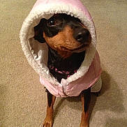 Charm joined the competition — help win amazing prizes!