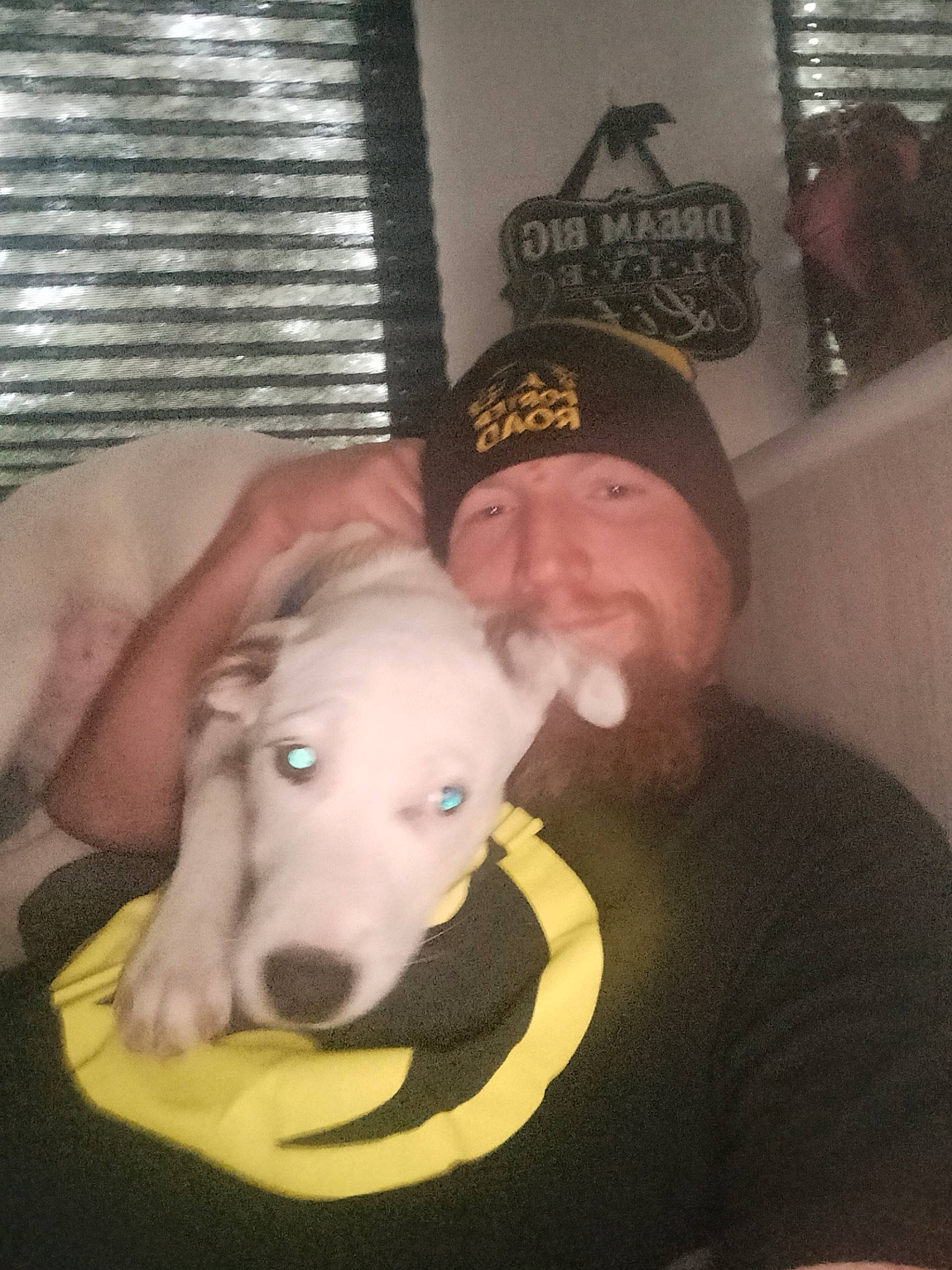 Daenerys joined the competition — help win amazing prizes! baseball_cap, beard, canidae, cap, carnivore, companion_dog, dog, dog_breed, ear, fawn, flooring, fun, fur, hat, jaw, selfie, snout, sporting_group, t_shirt, working_animal
