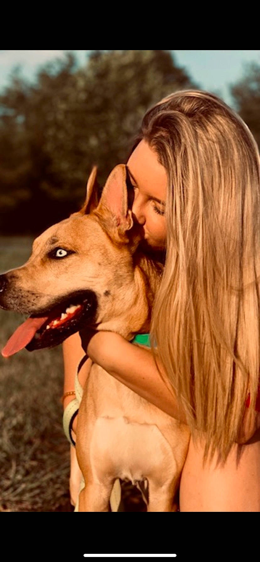 Turbo joined the competition — help win amazing prizes! canidae, carnivore, companion_dog, dog, dog_breed, dog_sports, fawn, flash_photography, fun, gesture, happy, leisure, mammal, people_in_nature, recreation, sitting, smile, snout, sporting_group, vertebrate