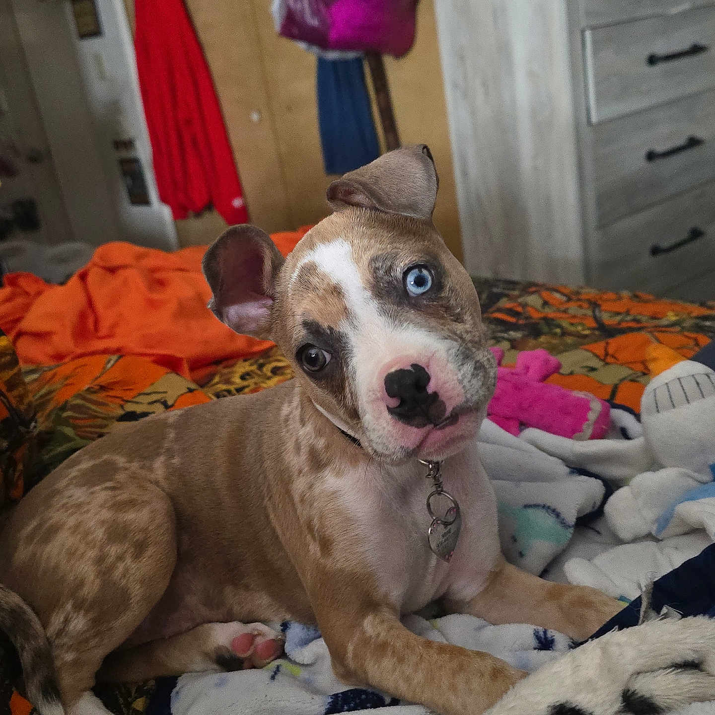 Winnie