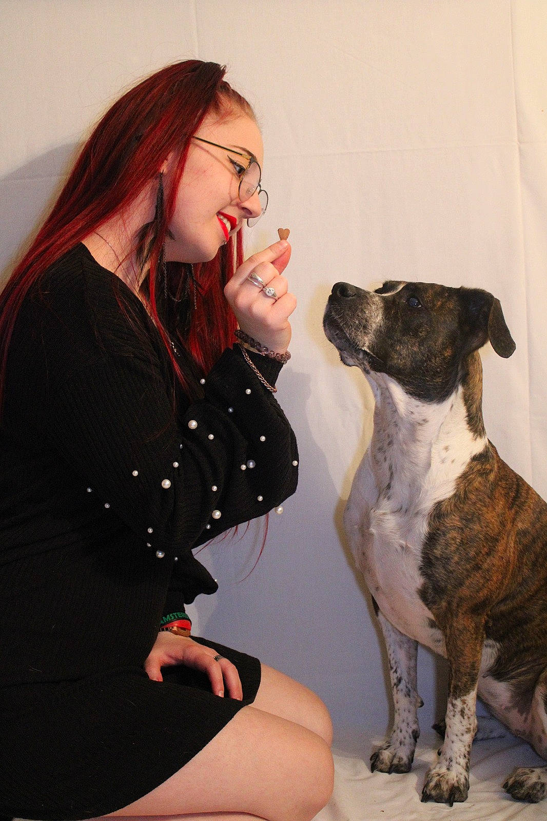 Mia participe au concours pour gagner de l'argent avec cette photo : american_bulldog, american_pit_bull_terrier, american_staffordshire_terrier, canidae, carnivore, dog, dog_breed, ear, fawn, non_sporting_group, pit_bull, sitting, skin, staffordshire_bull_terrier