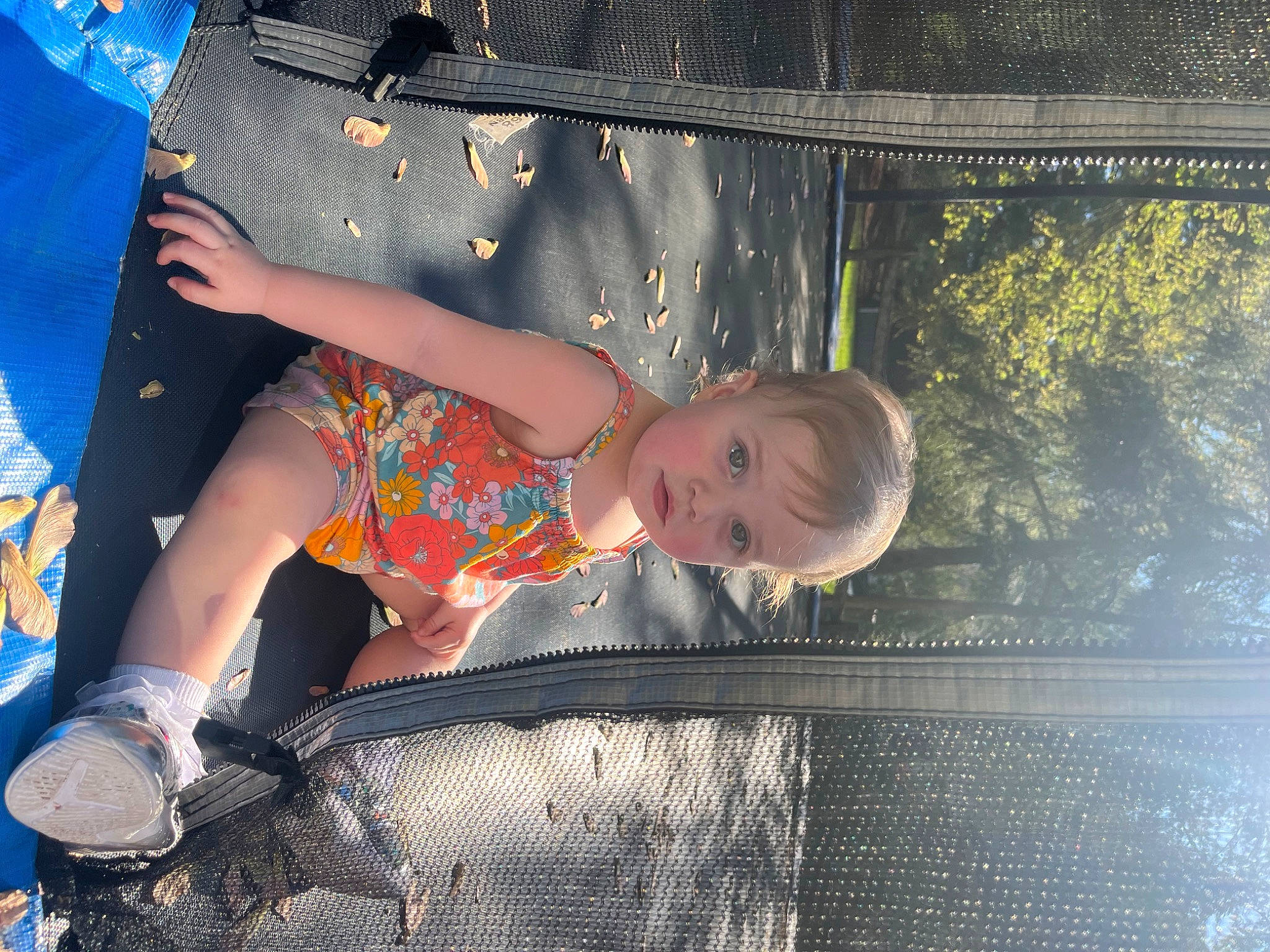 Maribella is registered to the contest to win money with this photo: baby, baby_products, child, flash_photography, fun, grass, happy, human_leg, leisure, pattern, people_in_nature, person, recreation, sitting, sky, thigh, tints_and_shades, toddler, tree, vehicle_door