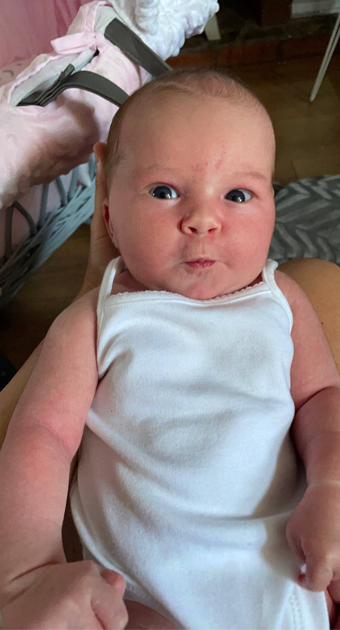 Daisy-may is registered to the contest to win money with this photo: abdomen, baby, baby_toddler_clothing, cheek, chest, comfort, eyebrow, eyelash, finger, iris, joint, lip, mouth, neck, nose, person, skin, sleeve, thumb, toddler