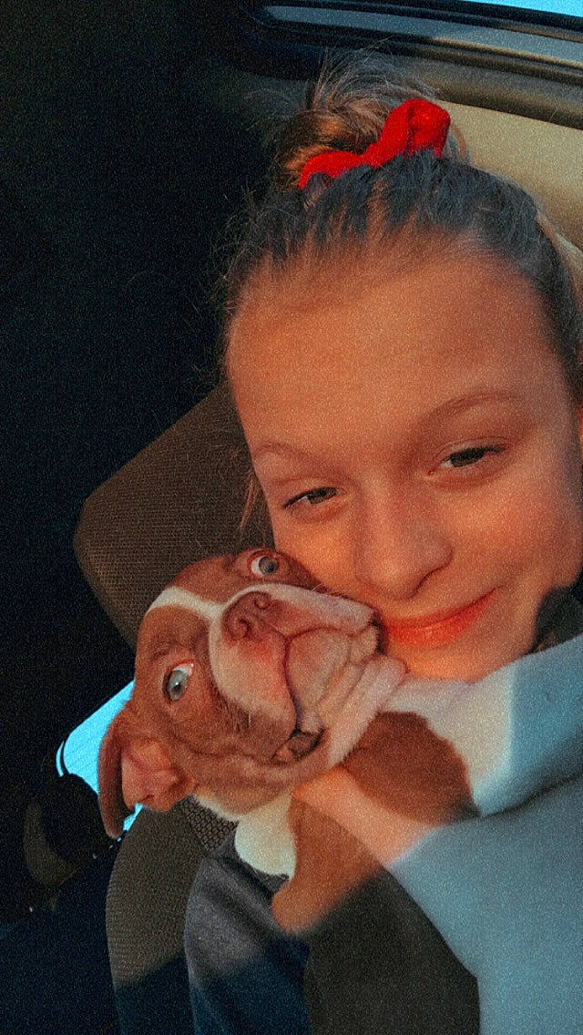 Rocky joined the competition — help win amazing prizes! canidae, cheek, child, dog_breed, ear, fawn, forehead, head, jaw, mouth, nose, sporting_group