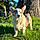 Tucker