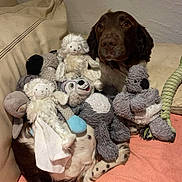 Snow participe au concours pour gagner de l'argent avec cette photo : dog, stuffed_animals, plush_toys, couch, blanket, indoor, pet, brown_dog, relaxed, seated, cozy, soft_toys, animal_toys, furry, playful, domestic, nap_time, home, cute, companion