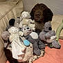 dog, stuffed_animals, plush_toys, couch, blanket, indoor, pet, brown_dog, relaxed, seated, cozy, soft_toys, animal_toys, furry, playful, domestic, nap_time, home, cute, companion