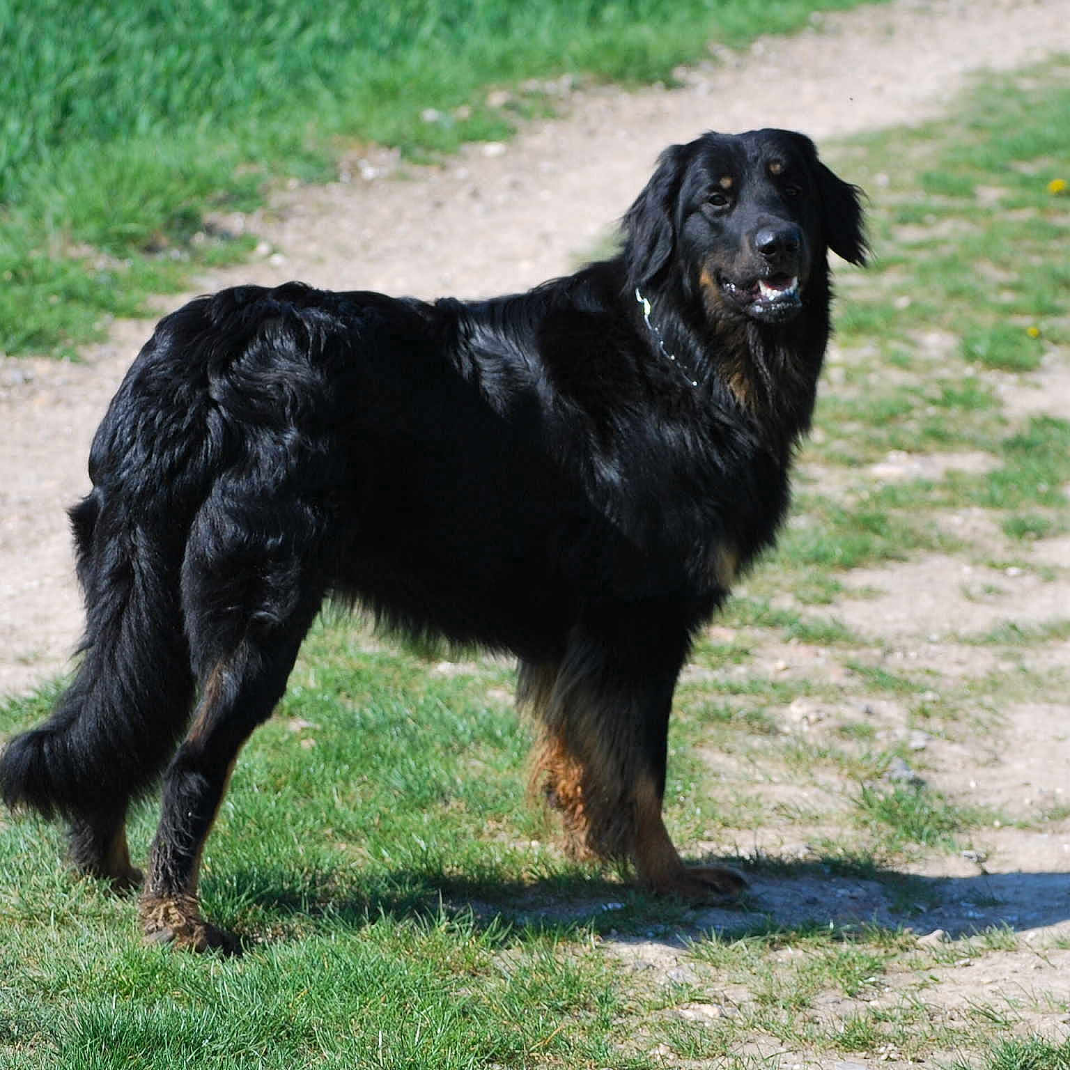 Elorn des Iles du La