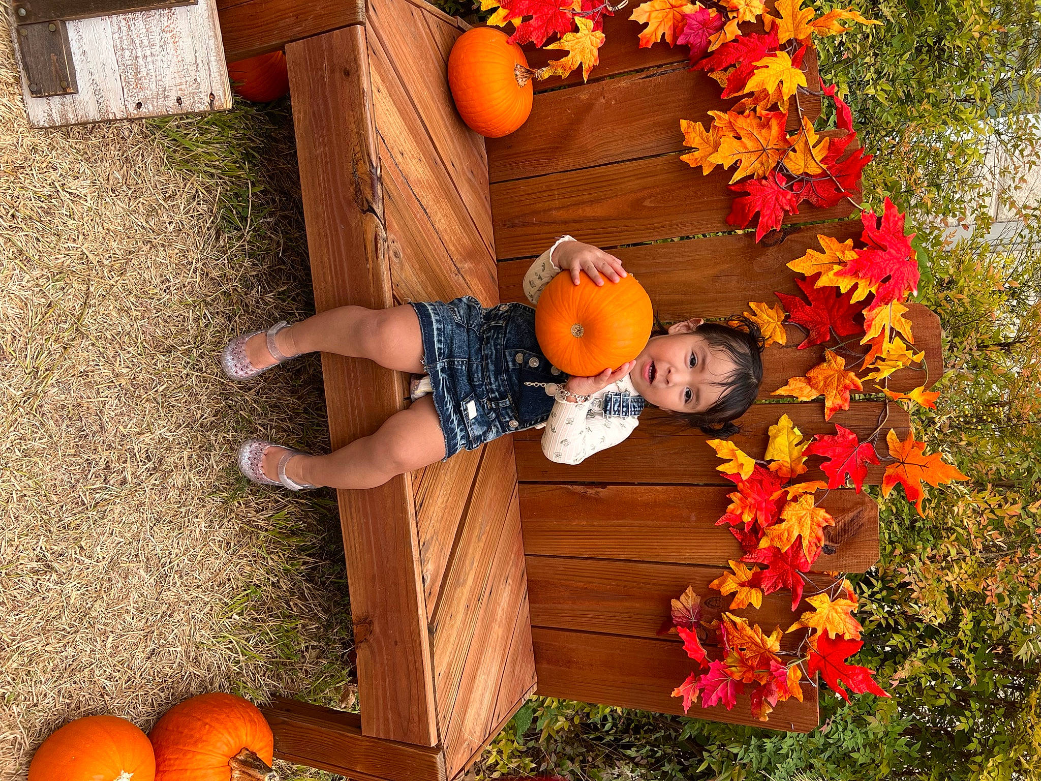 Amelia is registered to the contest to win money with this photo: calabaza, cucurbita, door, fruit, gourd, grass, happy, leisure, local_food, natural_foods, orange, people_in_nature, person, plant, pumpkin, squash, toddler, tree, vegetable, winter_squash