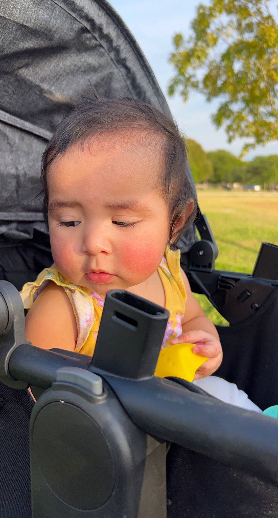 Amelia joined the competition — help win amazing prizes! auto_part, baby, baby_carriage, baby_in_car_seat, baby_products, car_seat, child, grass, happy, leisure, person, personal_protective_equipment, plant, recreation, seat_belt, sitting, skin, sky, steering_wheel, toddler