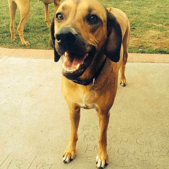 Lola is registered to the contest to win money with this photo: