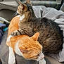 cat, tabby_cat, orange_cat, white_paws, snuggling, car_seat, blanket, pet, feline, fur, whiskers, domestic_animal, companion, resting, cozy, indoor, closeup, animal_pair, cute, relaxed