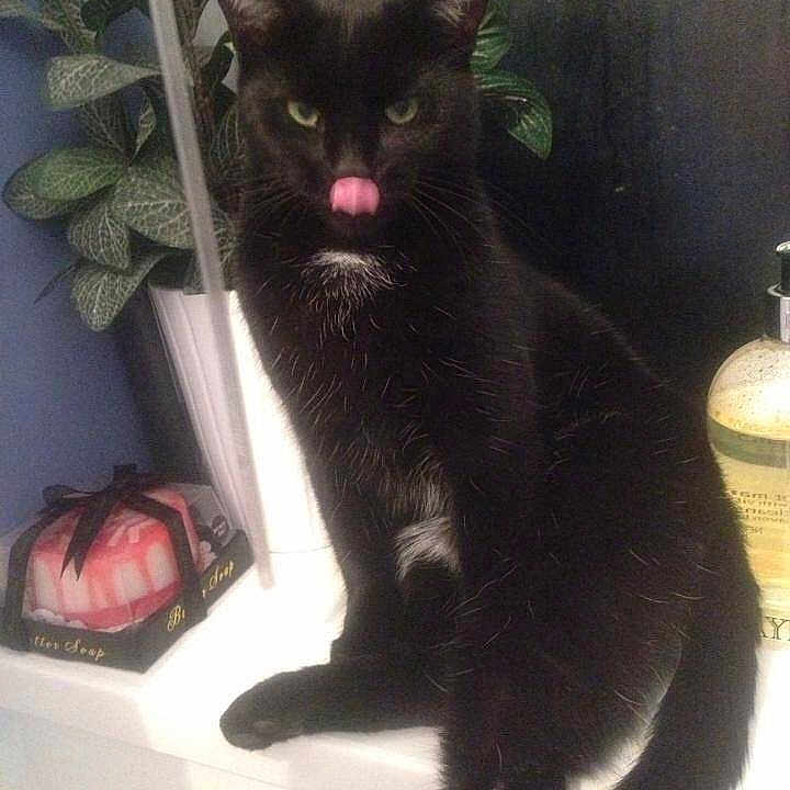 Kenco joined the competition — help win amazing prizes!