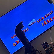 Blue joined the competition — help win amazing prizes! blue_background, bottle, cat, curiosity, domestic, feline, figurine, furniture, hat_on_tv, indoor, living_room, pet, screen_interaction, standing, striped_tubes, tabletop, television, toy_tube, tv_screen, wall