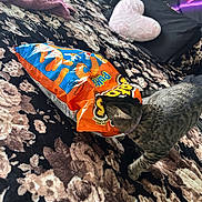 Blue joined the competition — help win amazing prizes! bed, bedspread, cat, cozy, curious, cute, fabric, feline, floral_pattern, flowers, heart_shaped_pillow, home, indoor, orange_blue_bag, pet, pillow, resting_place, snack_bag, snacks, tabby_cat