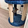 kitten, cat, cat_tree, scratching_post, blue_collar, plush, indoor, flooring, wood_floor, toy, fuzzy_ball, playful, pet, animal, small, climbing, furniture, tabby, cute, paws