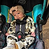 Ruby joined the competition — help win amazing prizes! baby, car_seat, headband, mickey_mouse, clothing, footwear, patterned, straps, cute, infant, child, seat, indoor, floor, sitting, person, looking, head, face, comfortable