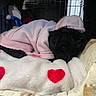 Kali is registered to the contest to win money with this photo: puppy, dog, black_dog, hoodie, pink_hoodie, blanket, heart_pattern, crate, sleeping, resting, cozy, pet, indoor, soft_texture, cute, fur, animal, snuggling, close_up, comfort