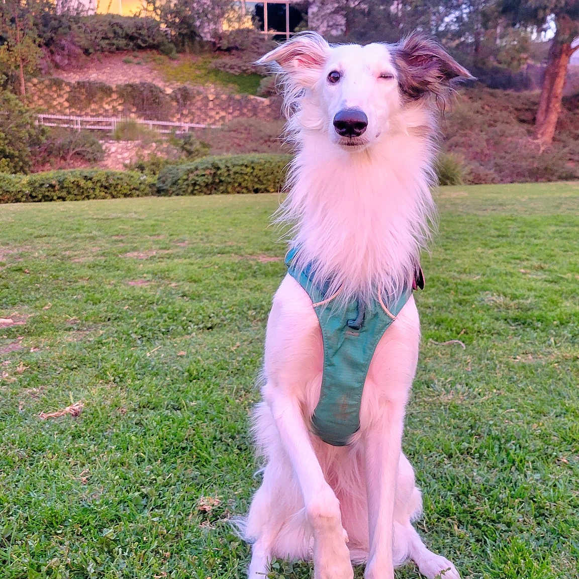 Kaida