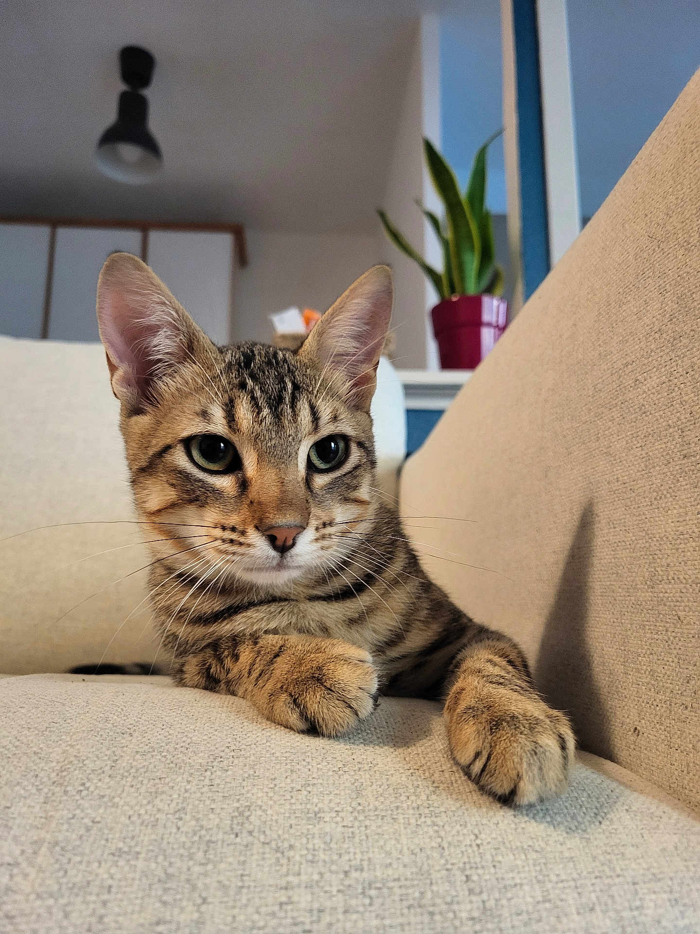 Lu.