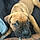 Buster