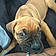 Buster