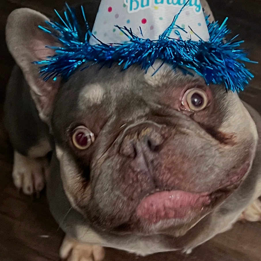 Gusgus