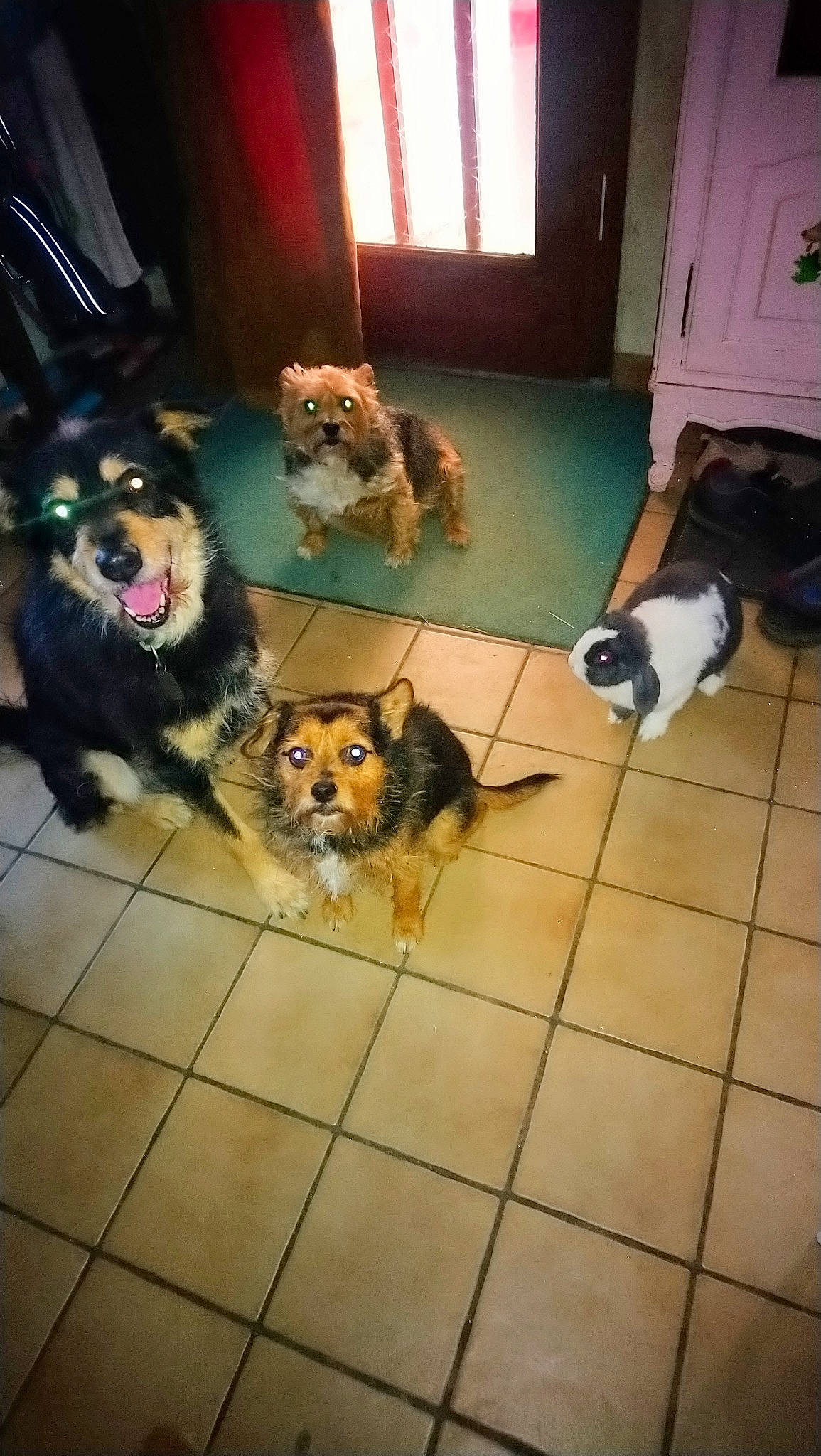 Yoyo Chichi Coco Et Roro