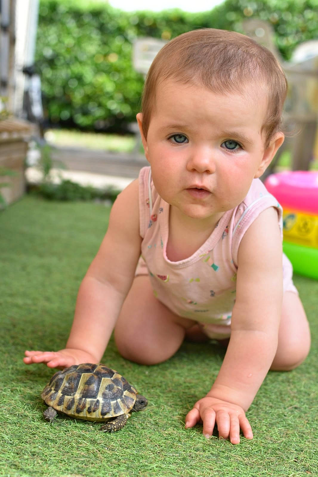 Helena a rejoint le concours — aidez-le/la à gagner de superbes lots ! baby, baby_toddler_clothing, crawling, finger, flooring, fun, grass, happy, human_body, lawn, leisure, people_in_nature, person, plant, recreation, reptile, skin, terrestrial_animal, toddler, tummy_time