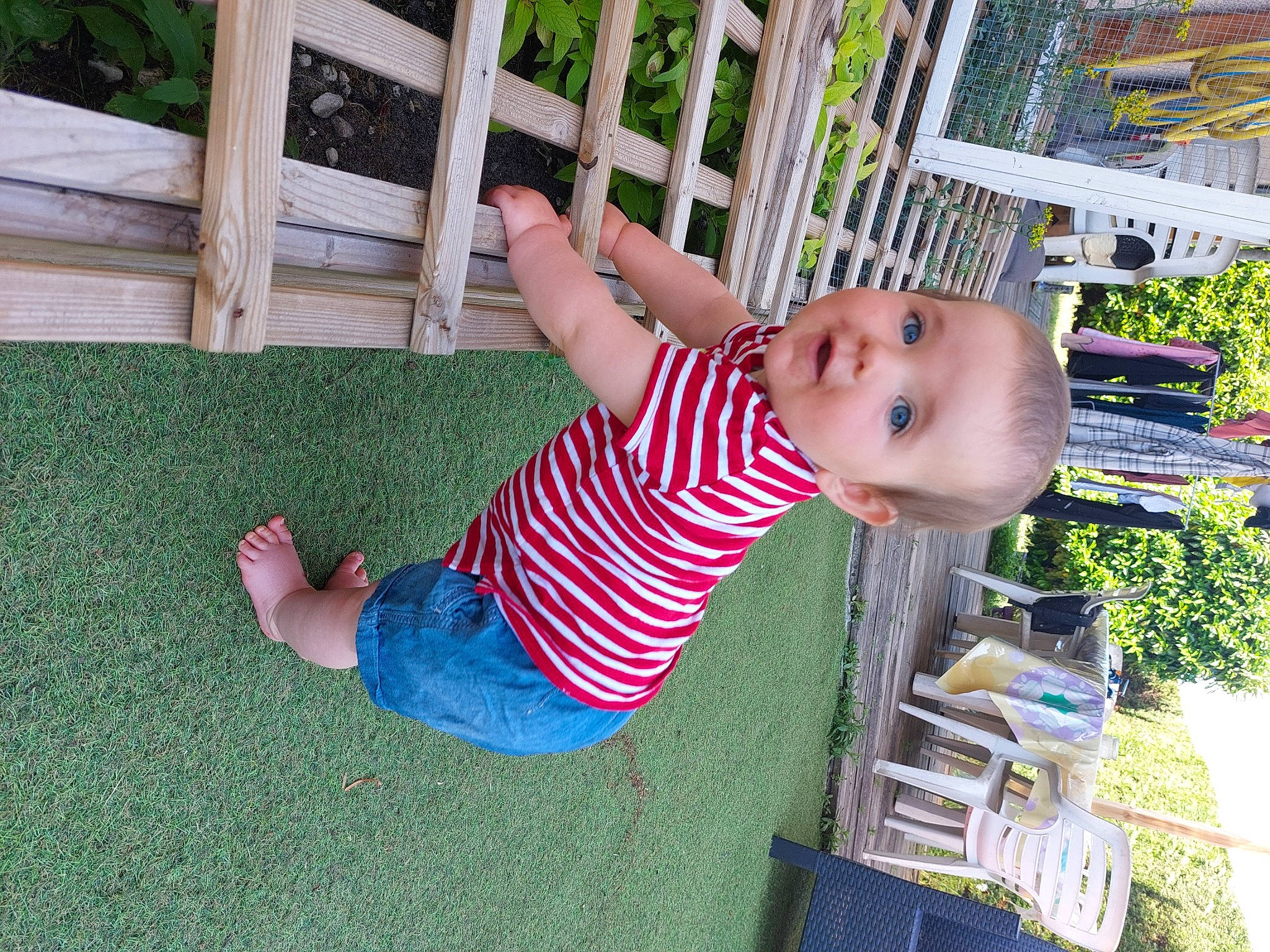 Helena a rejoint le concours — aidez-le/la à gagner de superbes lots ! baby, baby_toddler_clothing, child, facial_expression, fence, fun, grass, grass_family, green, human_body, human_settlement, leisure, person, plant, play, public_space, recreation, smile, toddler, tree