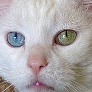 Zoe is registered to the contest to win money with this photo: